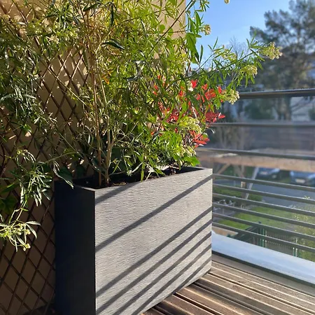 Appartement La Douceur Tourangelle *