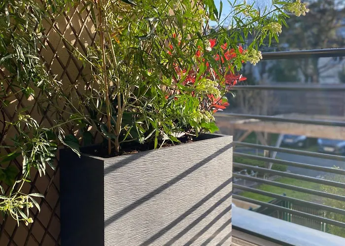 Apartament La Douceur Tourangelle *